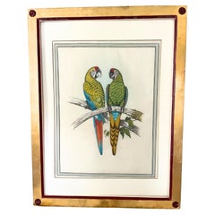 18 Grabados antiguos de aves coloreados a mano 
