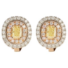 18 Carat Rose and White Gold, with Fancy Diamond and Diamonds, Earrings