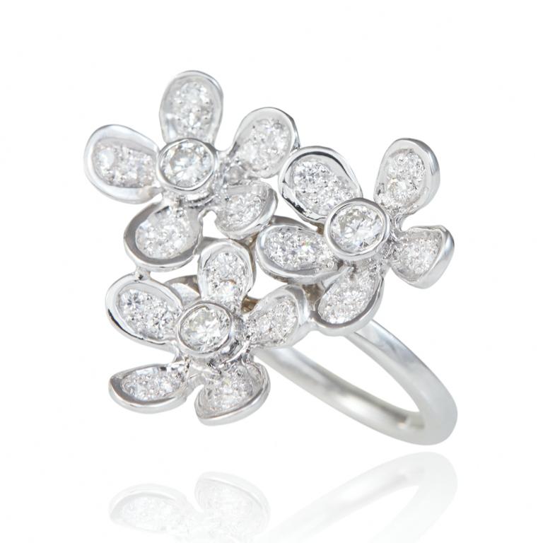 Women's 18 Carat White Gold Diamond Ring