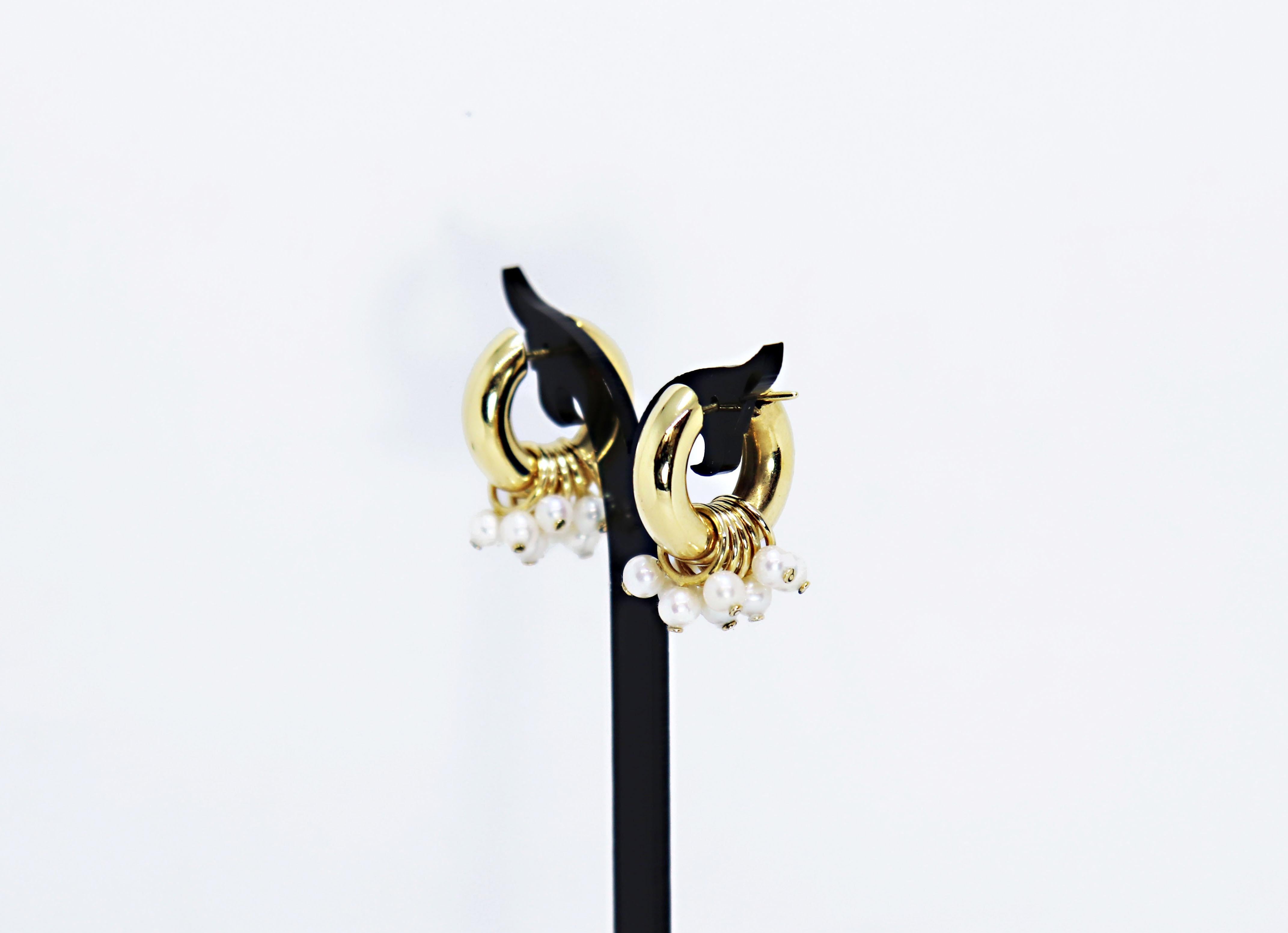 karnataka style earrings