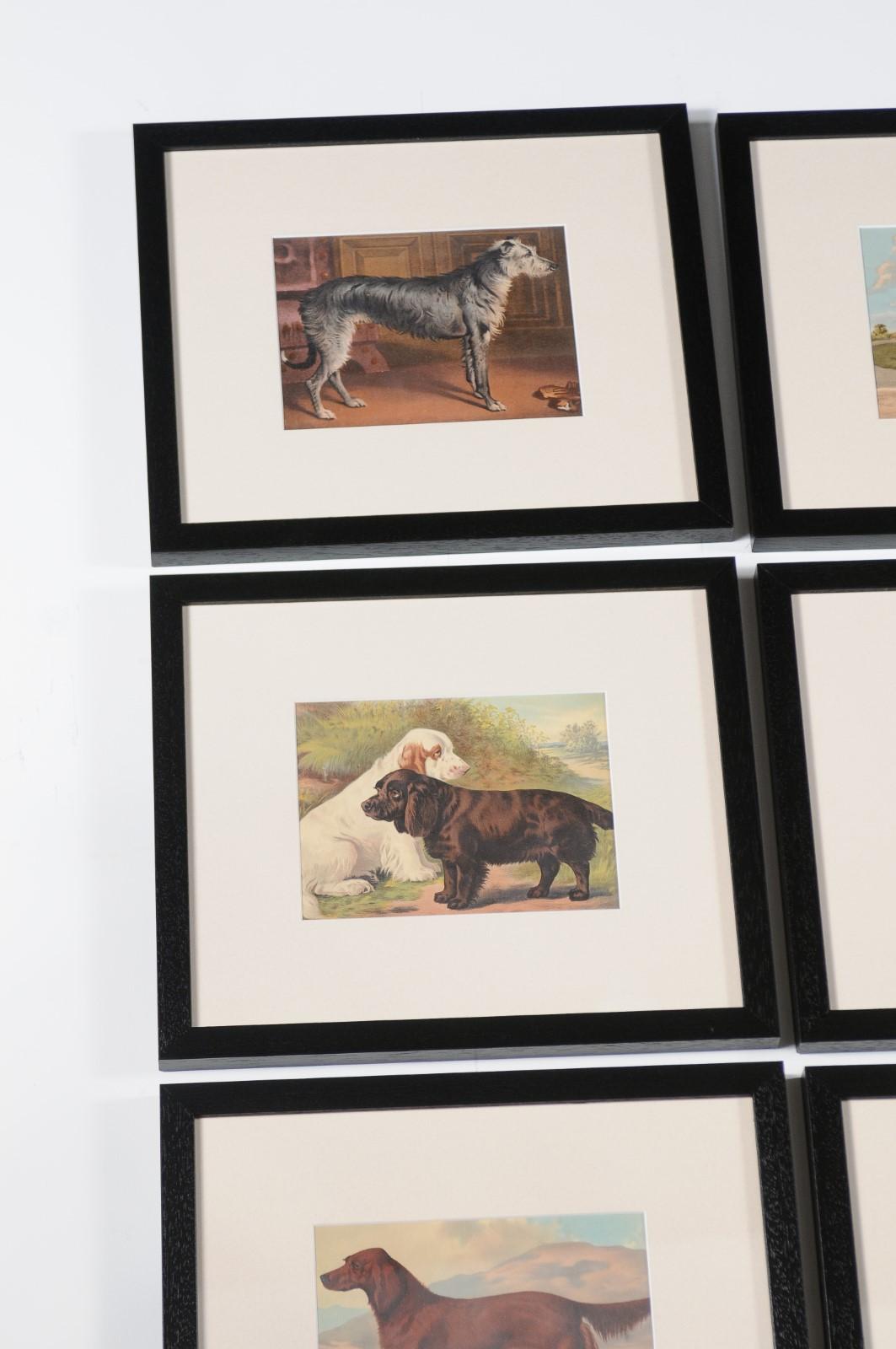 18 Cassell, Petter, Galpin & Co Chromolithograph Dog Prints in Black Frames For Sale 5