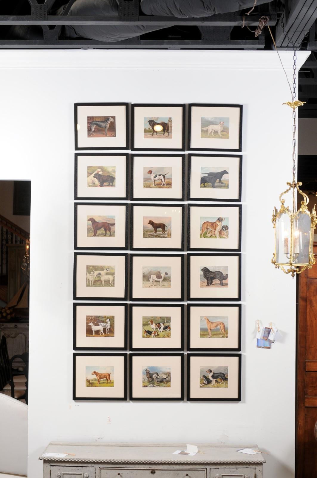 18 framed Cassell, Petter, Galpin & Co chromolithograph dog prints from the 20th century, priced and sold $495 each. Created in England, the plates were made for The Illustrated Book of the Dog by Vero Shaw, the fourth book on dogs to be printed in