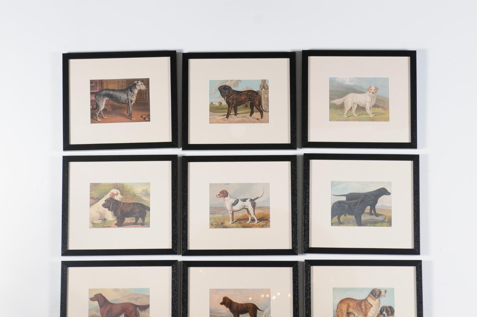 18 Cassell, Petter, Galpin & Co Chromolithograph Dog Prints in Black Frames In Good Condition For Sale In Atlanta, GA