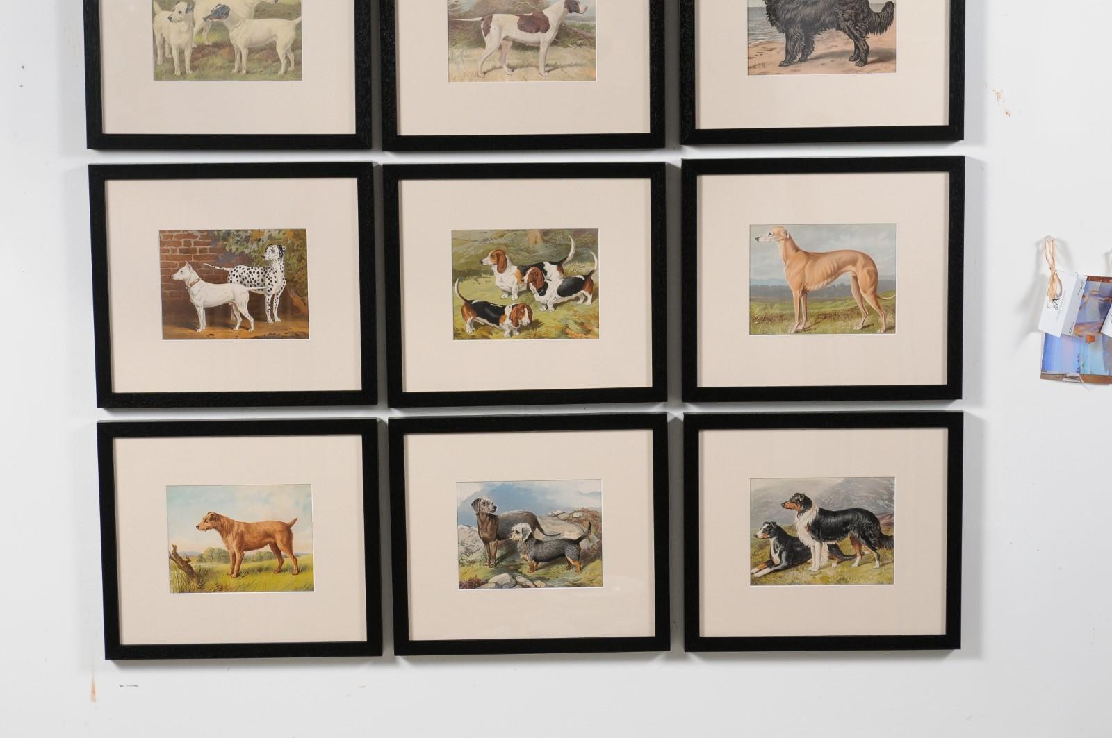 Paper 18 Cassell, Petter, Galpin & Co Chromolithograph Dog Prints in Black Frames For Sale