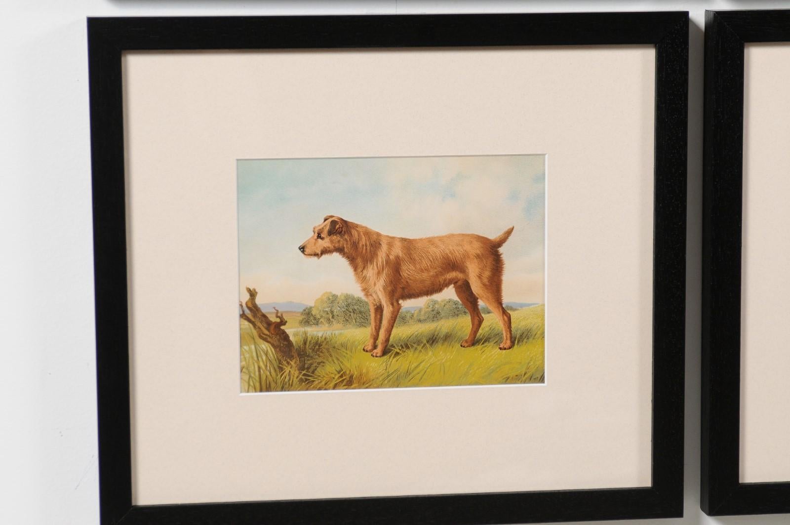 18 Cassell, Petter, Galpin & Co Chromolithograph Dog Prints in Black Frames For Sale 2