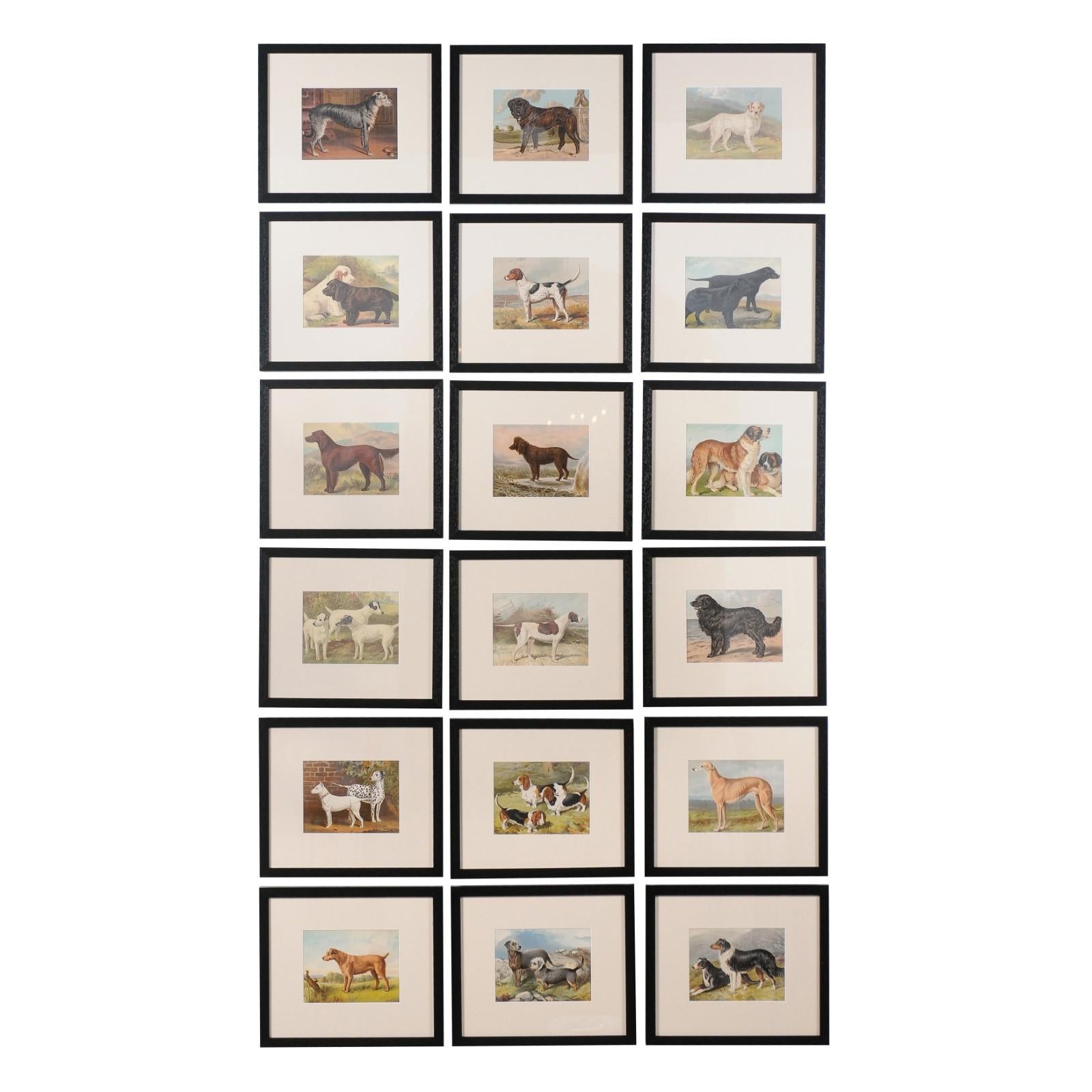 18 Cassell, Petter, Galpin & Co Chromolithograph Dog Prints in Black Frames For Sale
