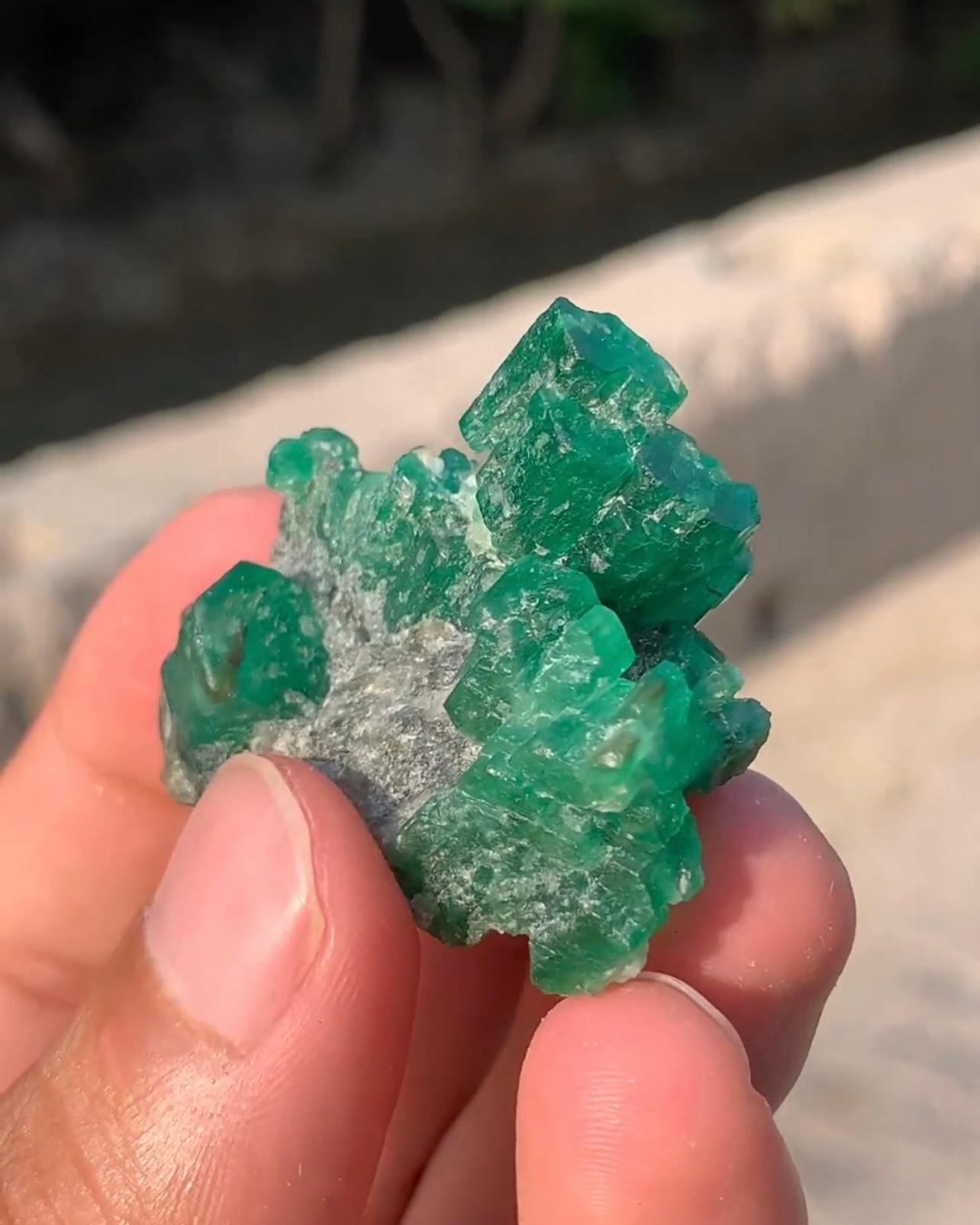 18 grammi di cristalli di smeraldo di colore verde appollaiati su calcite dal Pakistan in vendita 3