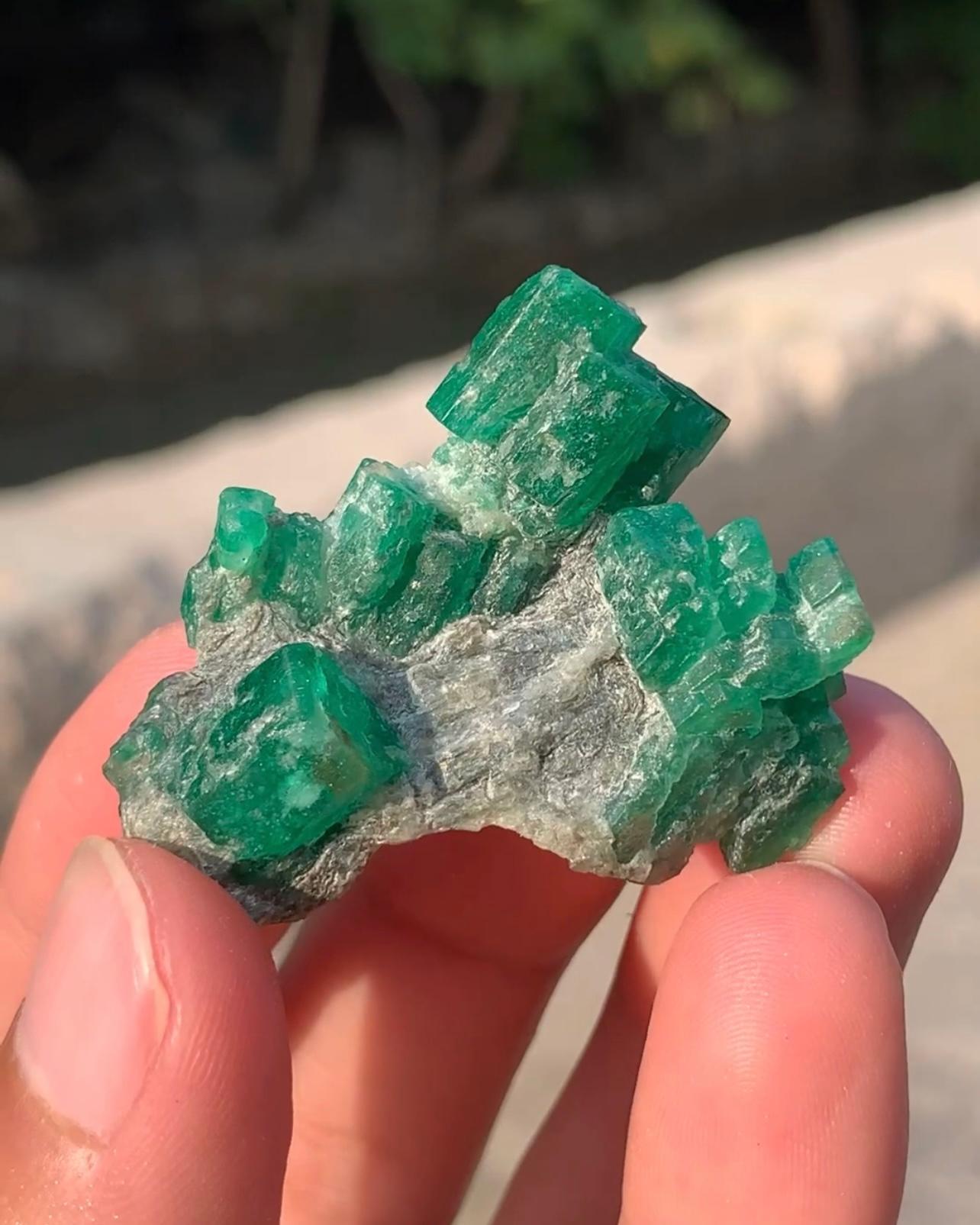18 grammi di cristalli di smeraldo di colore verde appollaiati su calcite dal Pakistan in vendita 7