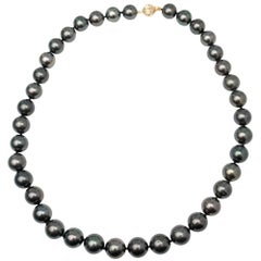 18" Grey Tahitian Pearl Necklace in 14K Yellow Gold