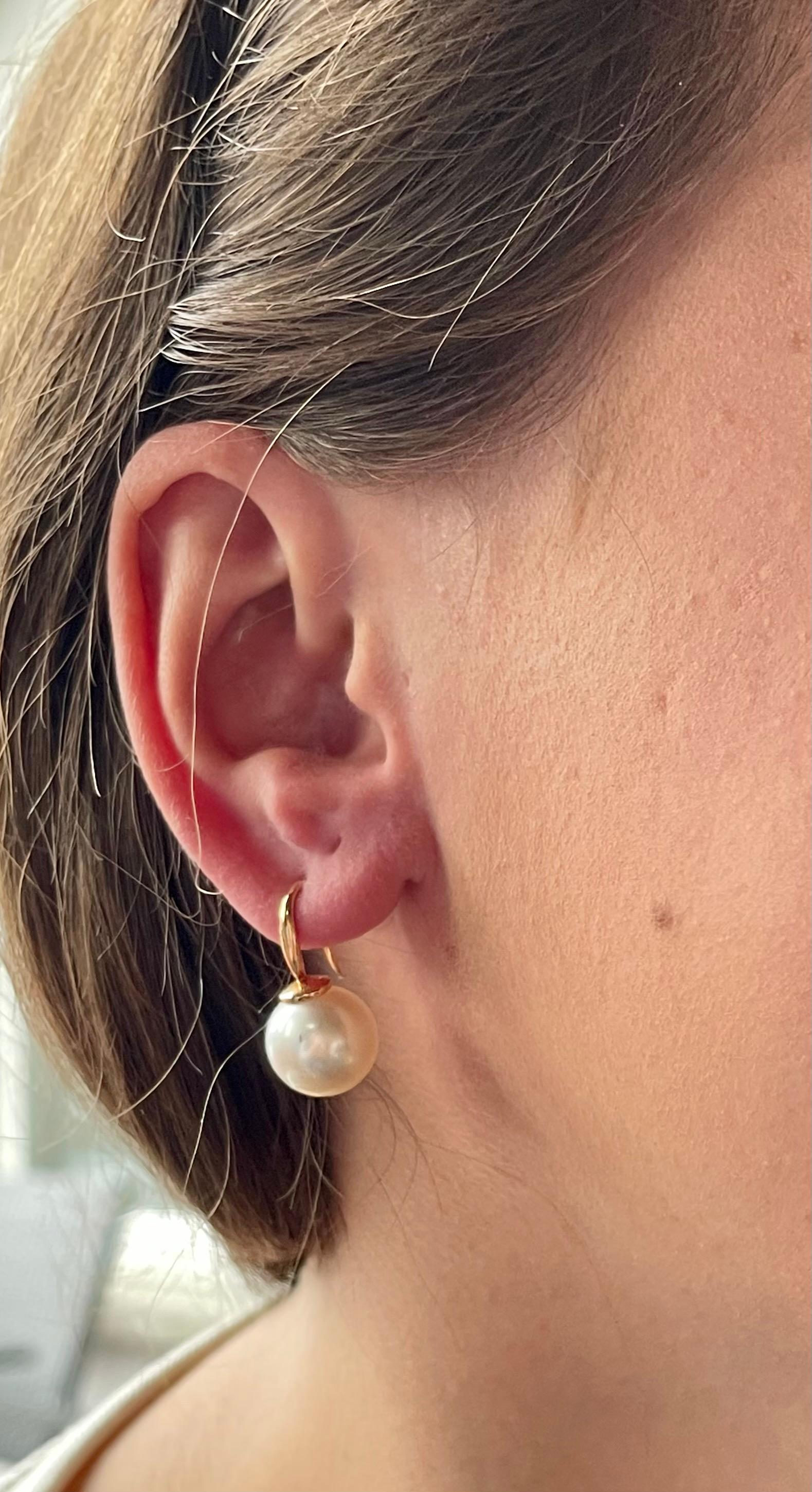 gold south sea pearl earrings