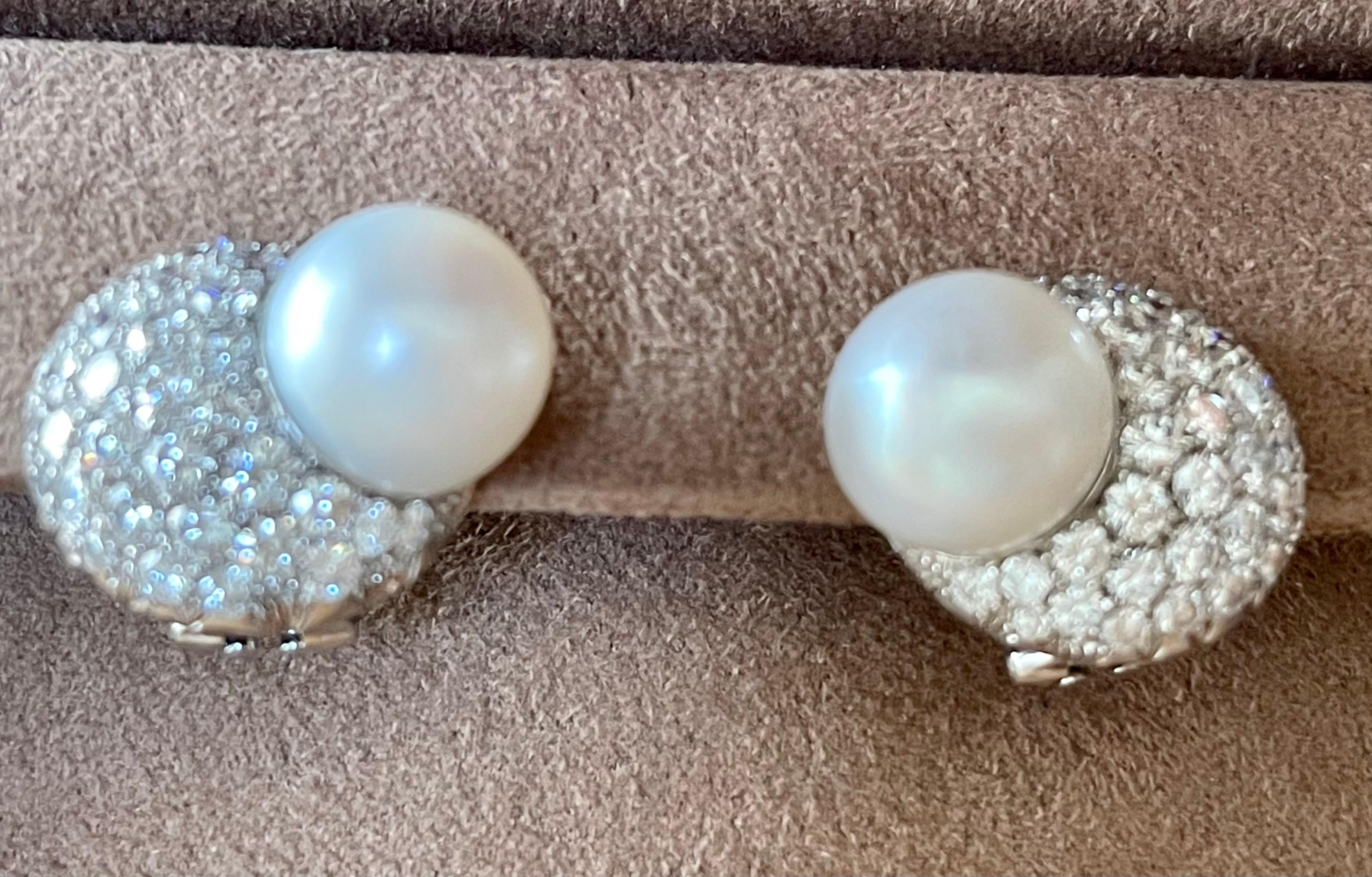 white south sea pearl earrings