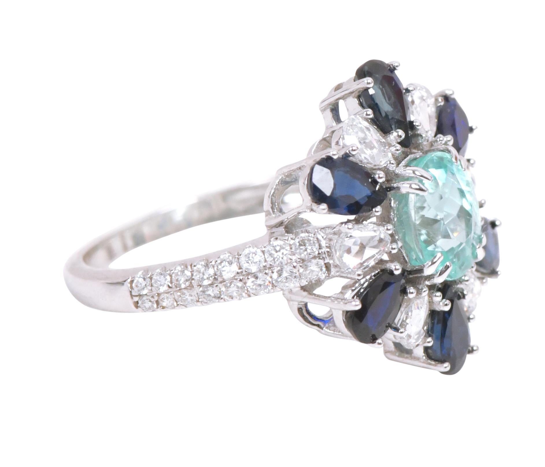 18 Karat Gold 3.91 Carat Paraiba Tourmaline, Sapphire, and Diamond Cocktail Ring

This meticulous rare bluish Paraiba Tourmaline and sapphire and diamond ring is mesmerizing. The leveled-up solitaire oval Paraiba Tourmaline is incredibly set in
