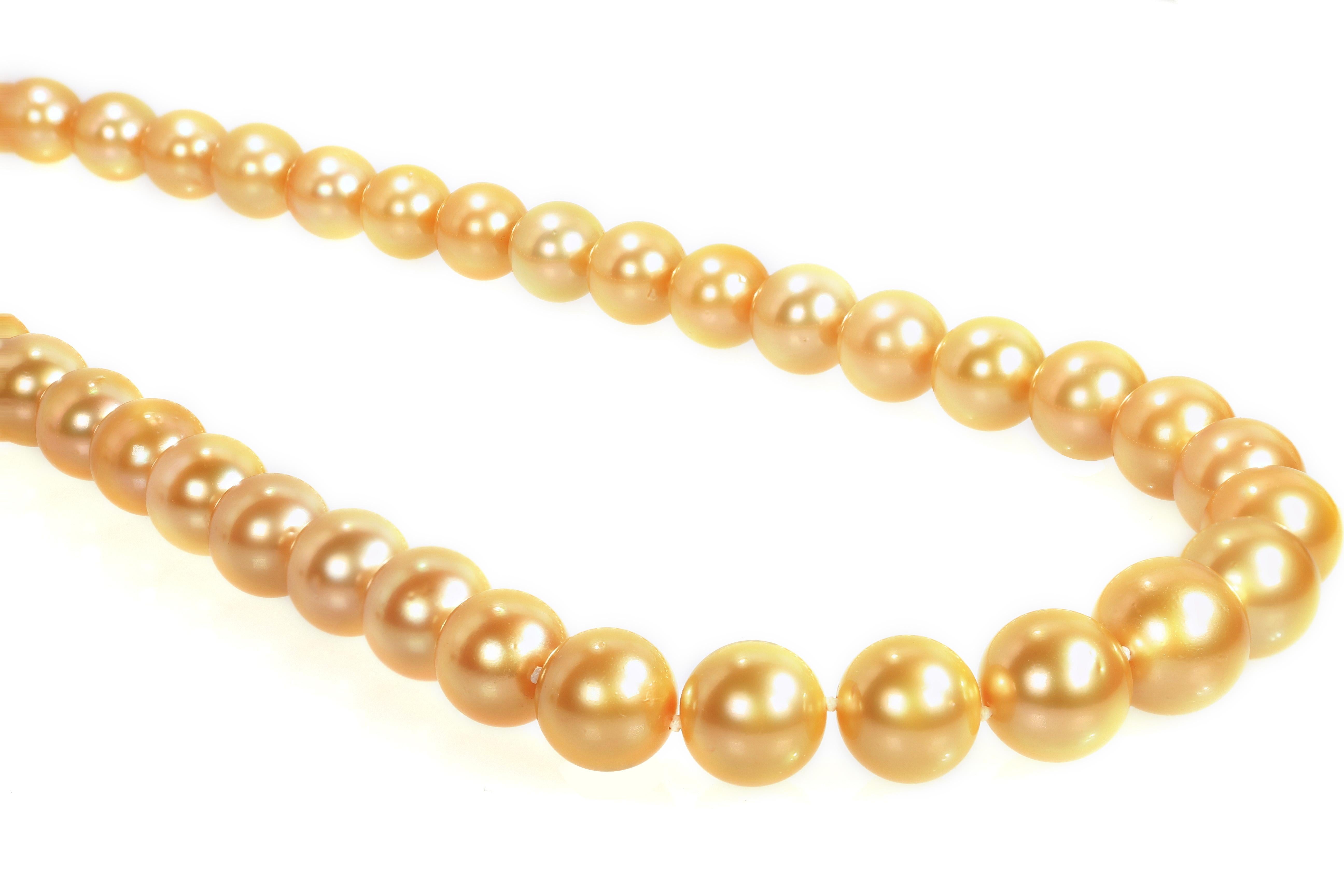 A fabulous South Sea Golden Pearl Necklace, consists of 53 pieces of very rich and even natural colour pearls of graduate sizes, from 10mm to 14.5mm in diameter, with the clasp made of of 18 karat rose gold, set with small diamonds on the surface