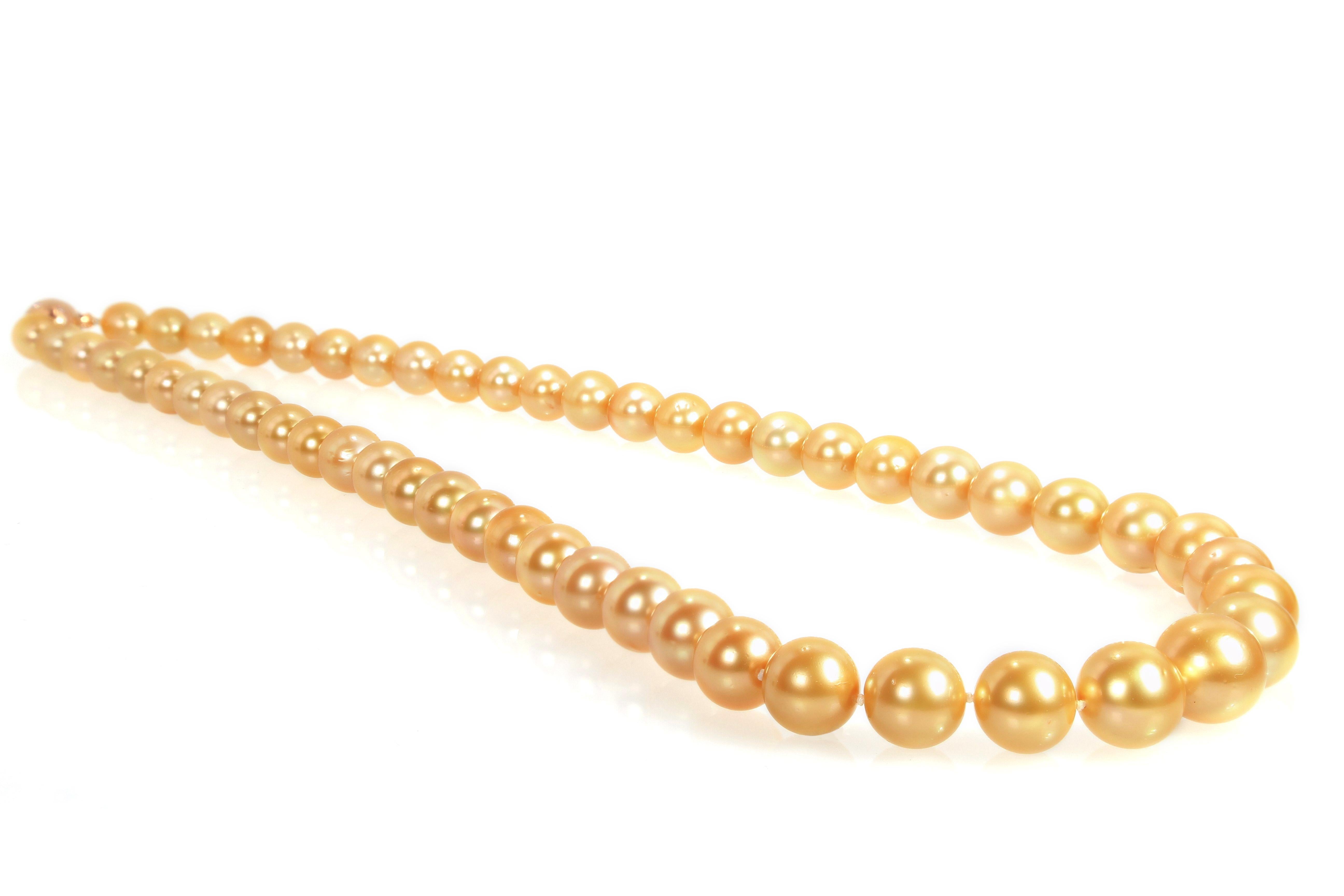 Brilliant Cut Golden South Sea Pearl Necklace with 18K Gold Clasp with Diamonds For Sale