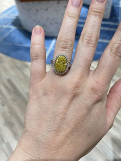 18 Karat Gold Yellow and White Diamond Sunburst Ring