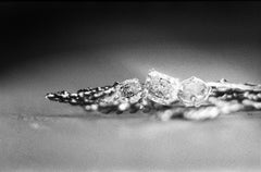 Five Carats Emerald and Diamonds Sapphire Rose Gold Contemporary Brooch