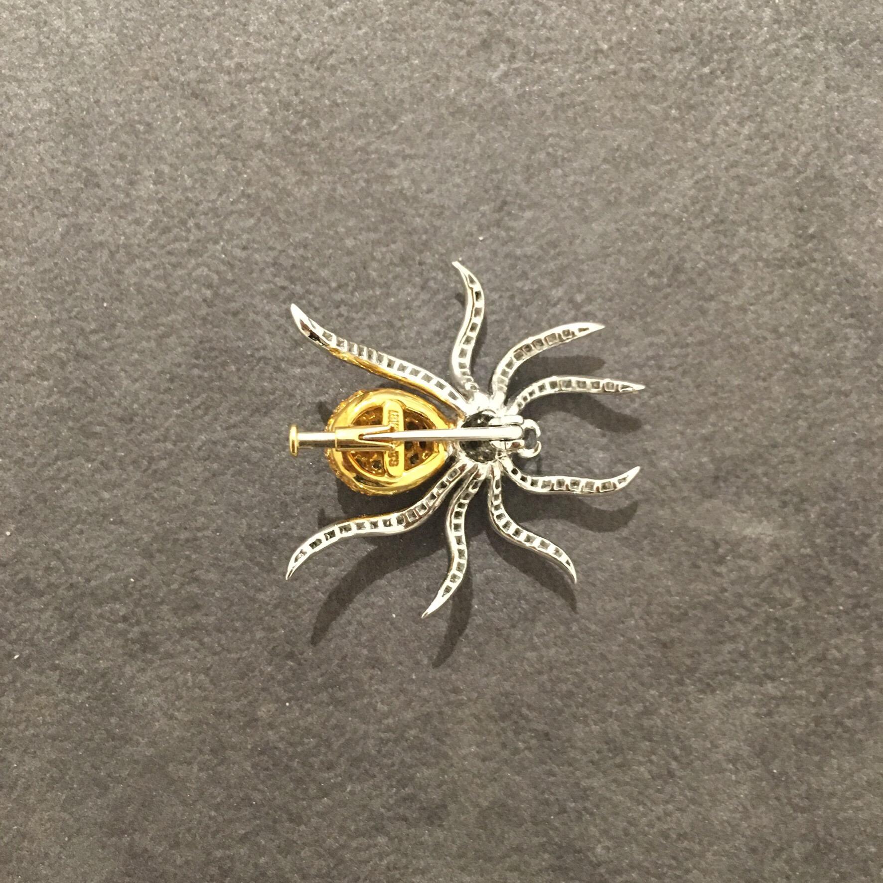 yellow spider ct