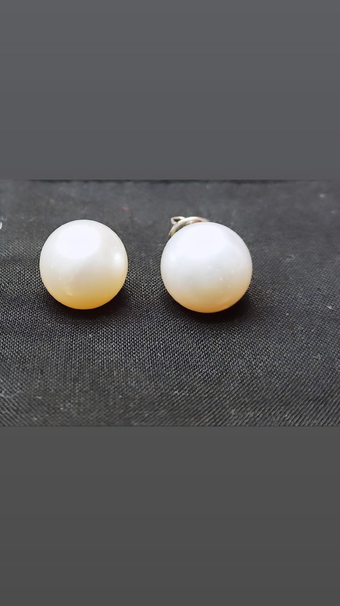 18 Karat White Gold 22.46 Carat Natural Off-White South Sea Pearl Stud Earrings In New Condition For Sale In Jaipur, IN