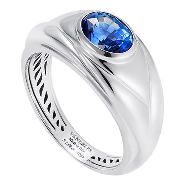 18 Karat White Gold and Sapphire Ring For Sale