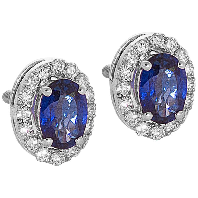 18 Karat White Gold Blue Sapphire Diamond Stud Earrings For Sale