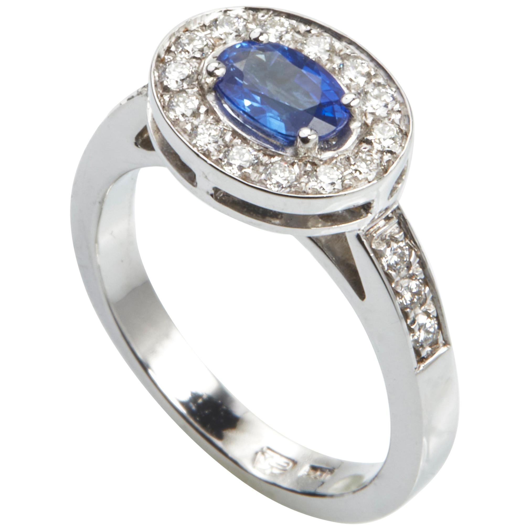 18 Karat White Gold Diamond and Sapphire Cocktail Ring