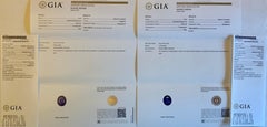 18 Karat White Gold GIA Certified 14.37 Carats Sapphire and Diamond Drop Earring