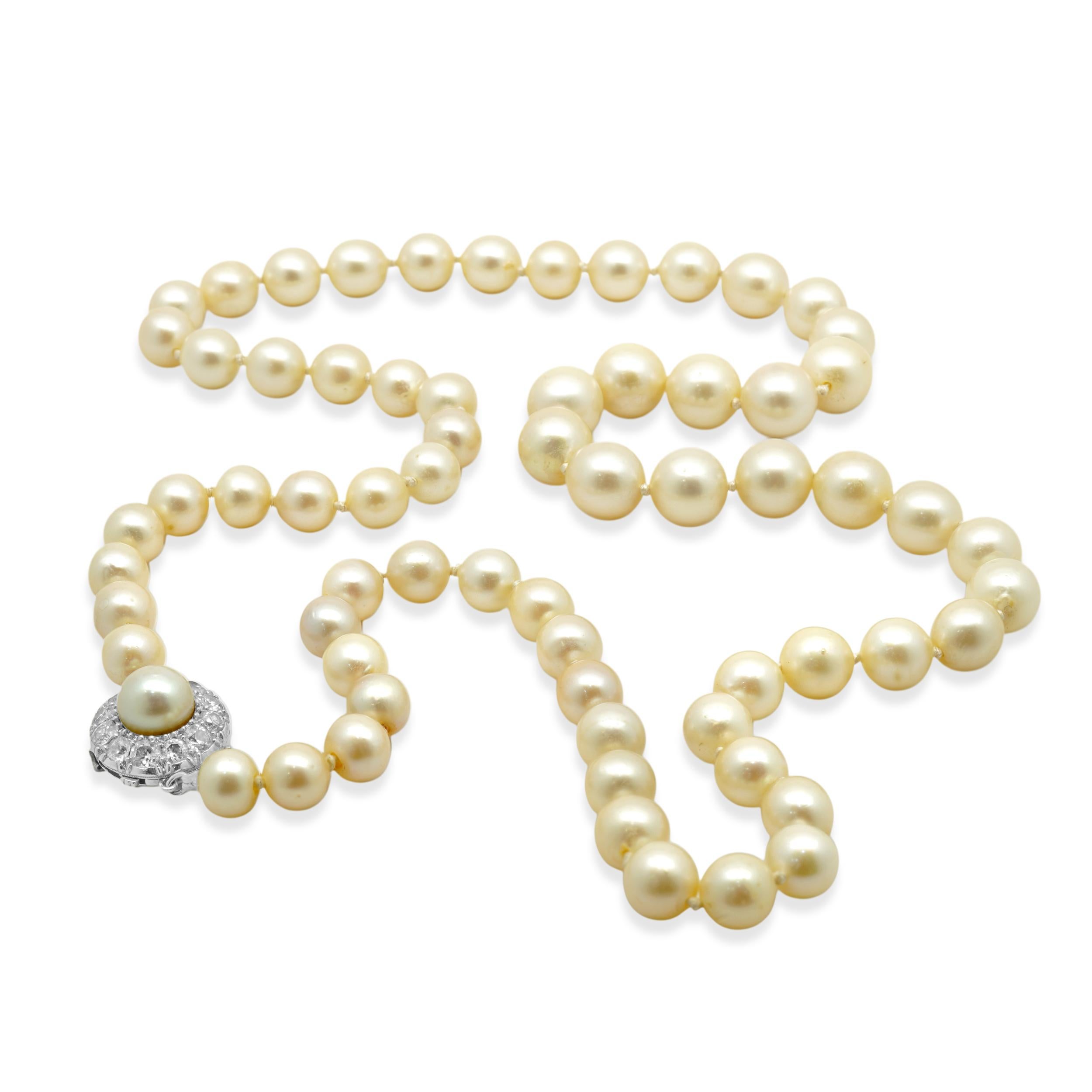 Diseñador: custom
Material: oro blanco de 18 quilates
Diamantes: 12 talla brillante redonda = 1,20cttw
Color: I / J
Claridad: SI2
Peso: 48,47 gramos
Dimensiones: el collar mide 23 pulgadas
