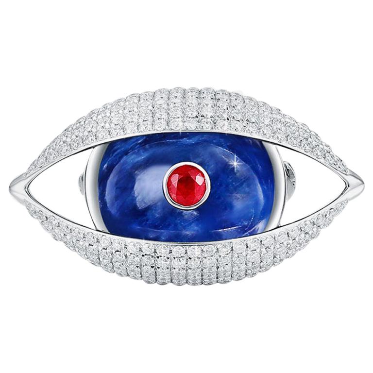 Eye Unisex Brooch 18 Karat White Gold Blue Kyanite Ruby Pave Diamond For Sale