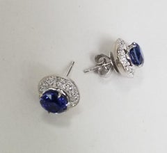 18 Karat White Gold Lab Created Blue Sapphire and Diamond Earrings