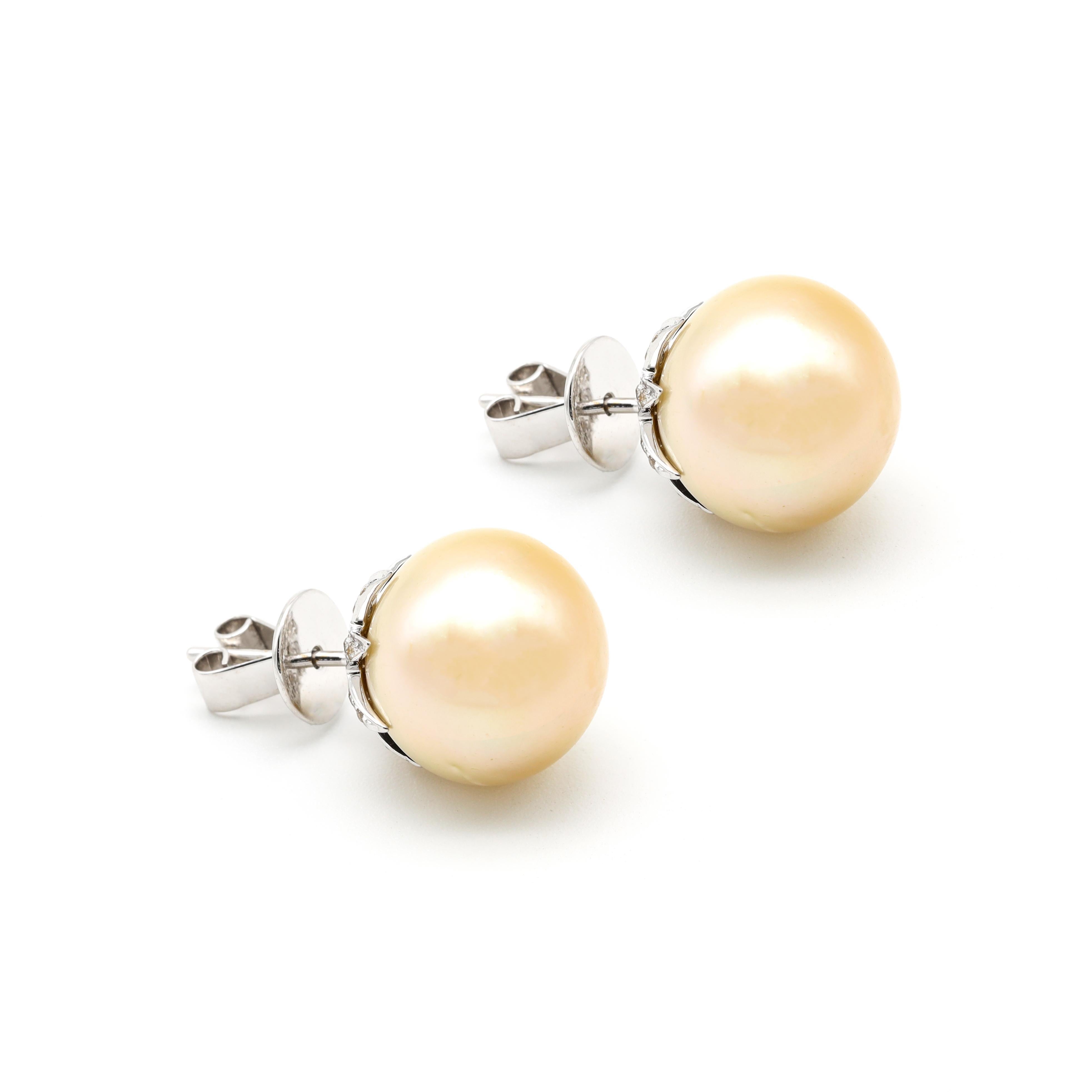 18 Karat White Gold Natural South Sea Pearl and Diamond Stud Earrings 

This classic circular golden pearl stud earring is distinctively defined. The exquisite ideal natural golden south-sea pearl pair is elegantly drilled set in white gold with the