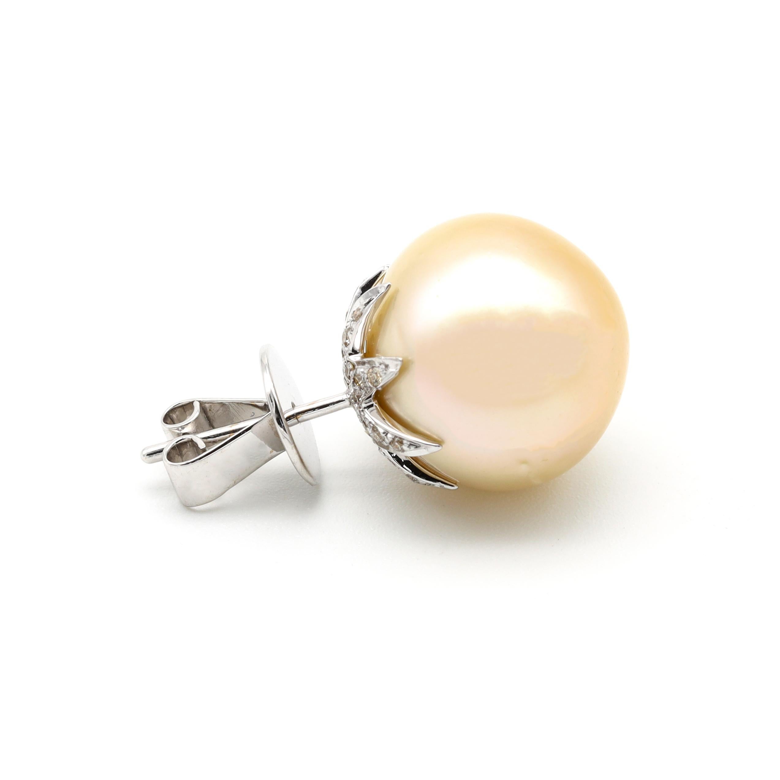 Women's 18 Karat White Gold Natural South Sea Pearl and Diamond Stud Earrings For Sale