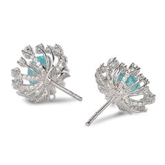 18 Karat White Gold Paraiba Star Burst Stud Earrings