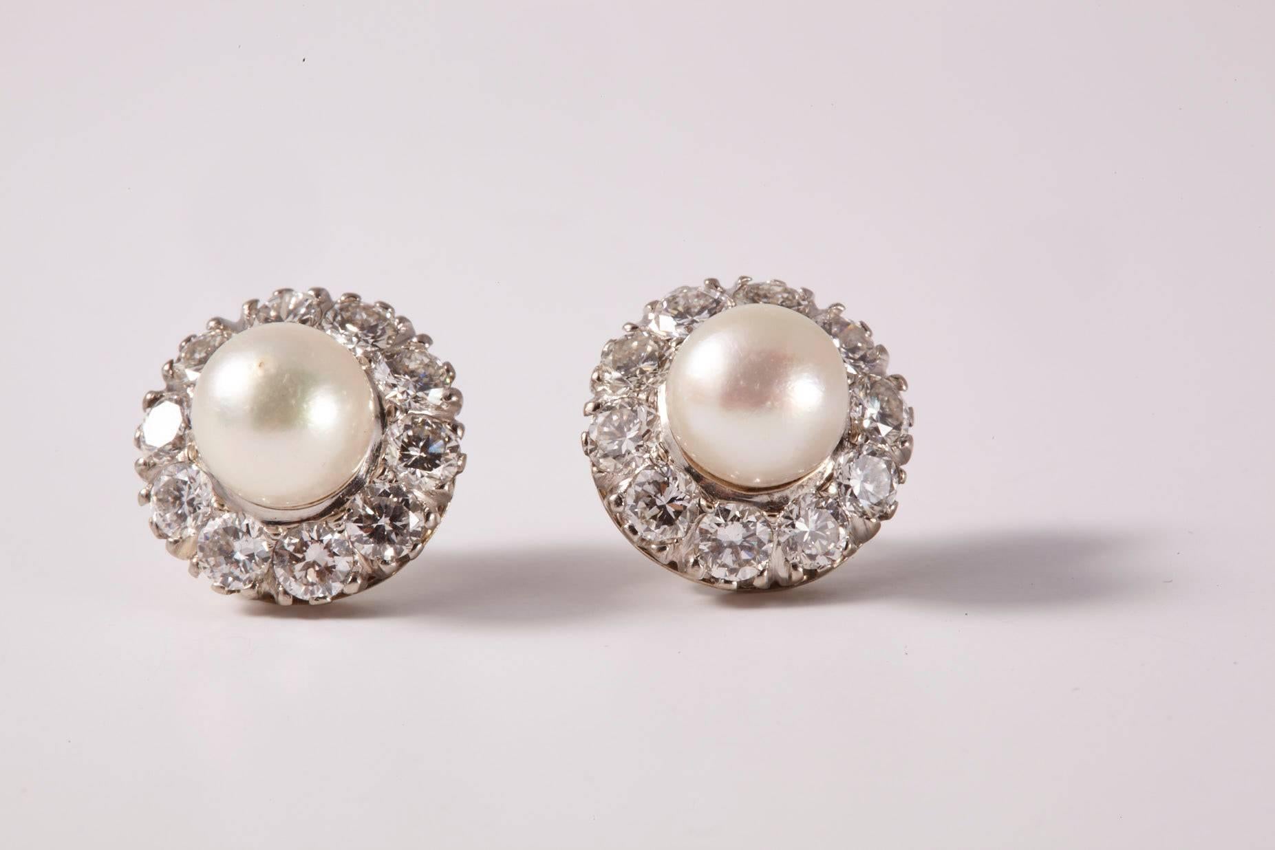 18 Karat White Gold Pearl and Diamond Earrings, 8mm SS White Pearl surrounded by 10 colorless VS Diamonds. Approximately 3ct total weight. 
A classic design for these pearl stud earrings; breathtaking, brilliant diamonds, a perfect layout, and very