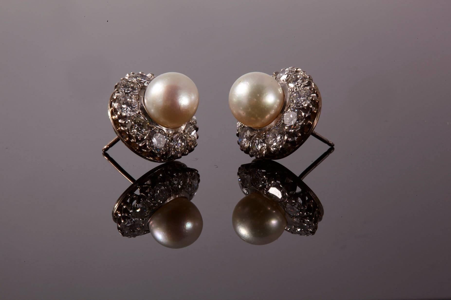 Round Cut 18 Karat White Gold Pearl and Diamonds Earrings For Sale