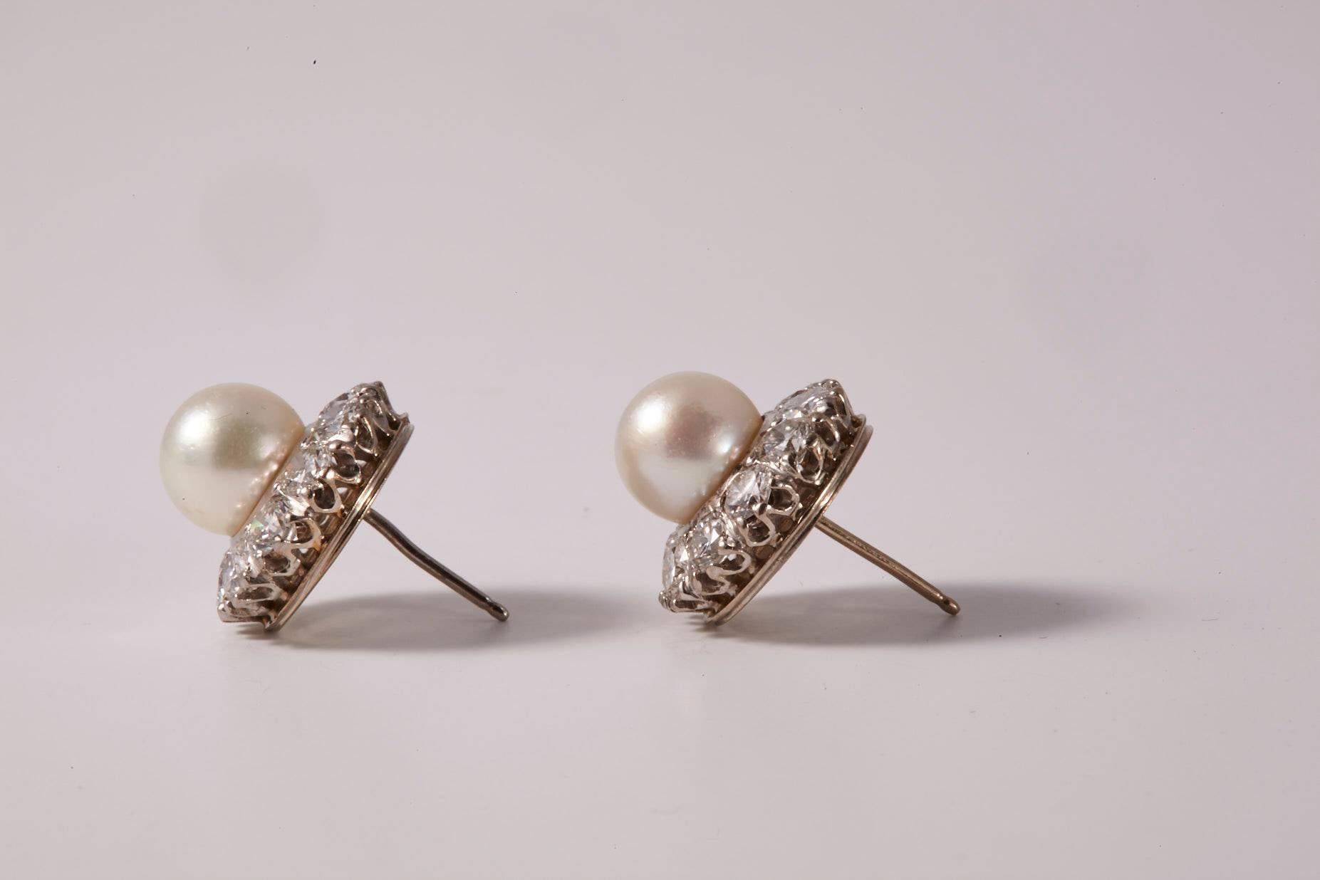 18 Karat White Gold Pearl and Diamonds Earrings In Excellent Condition For Sale In Westport, CT