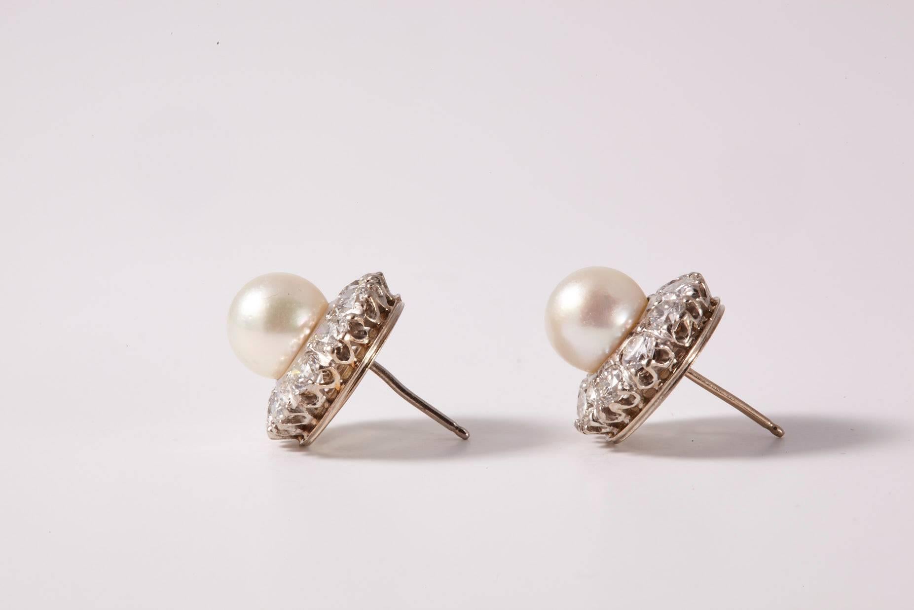 Men's 18 Karat White Gold Pearl and Diamonds Earrings For Sale