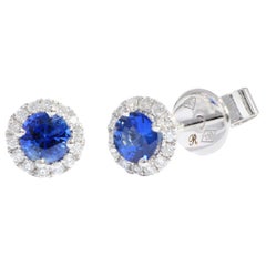 18 Karat White Gold Sapphire and Diamond Earrings