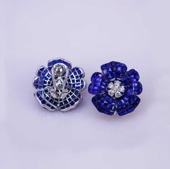 18 Carat White Gold Sapphire Earrings