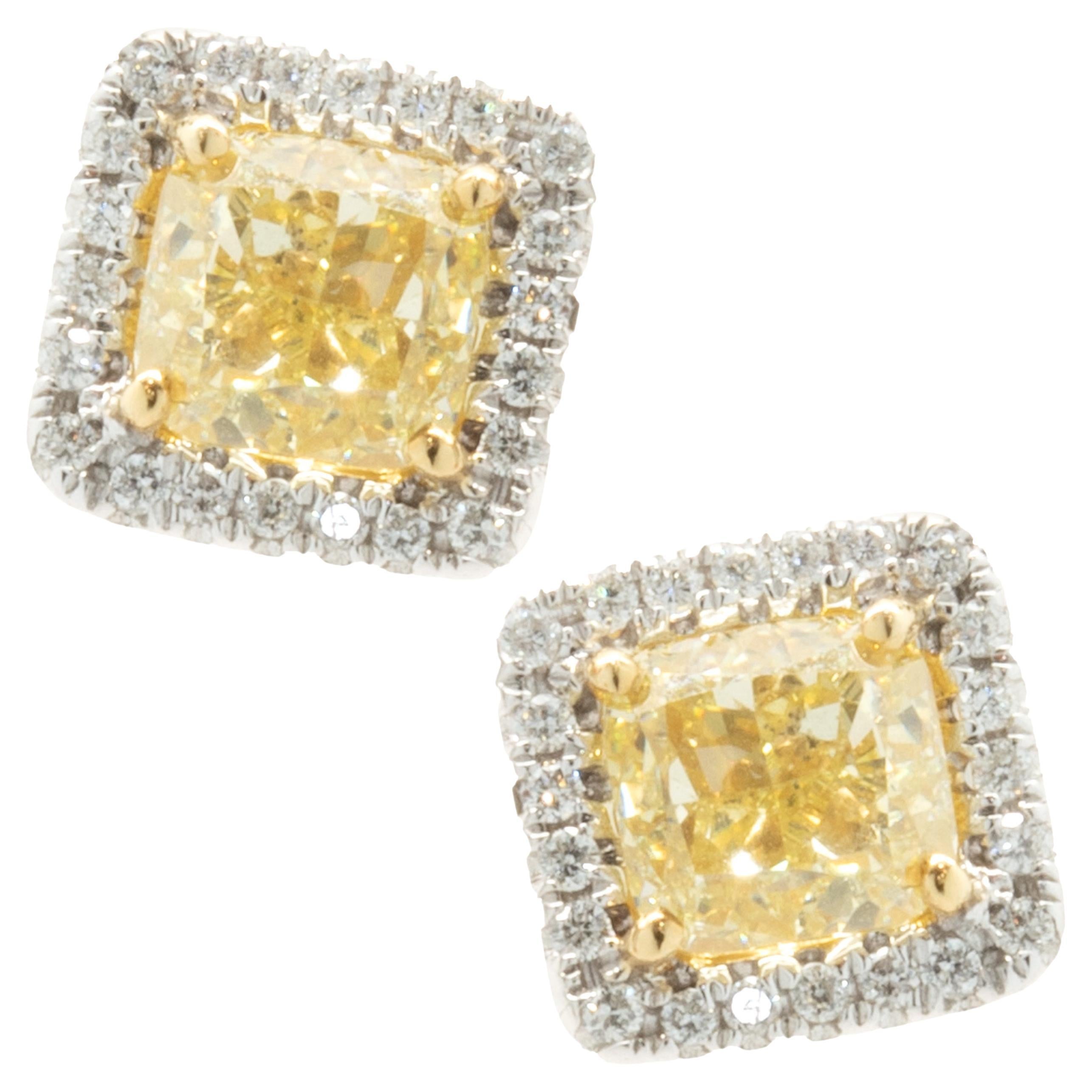 18k White & Yellow Gold Fancy Yellow Diamond Stud Earrings with Diamond Halos