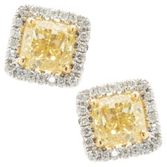 18k White & Yellow Gold Fancy Yellow Diamond Stud Earrings with Diamond Halos