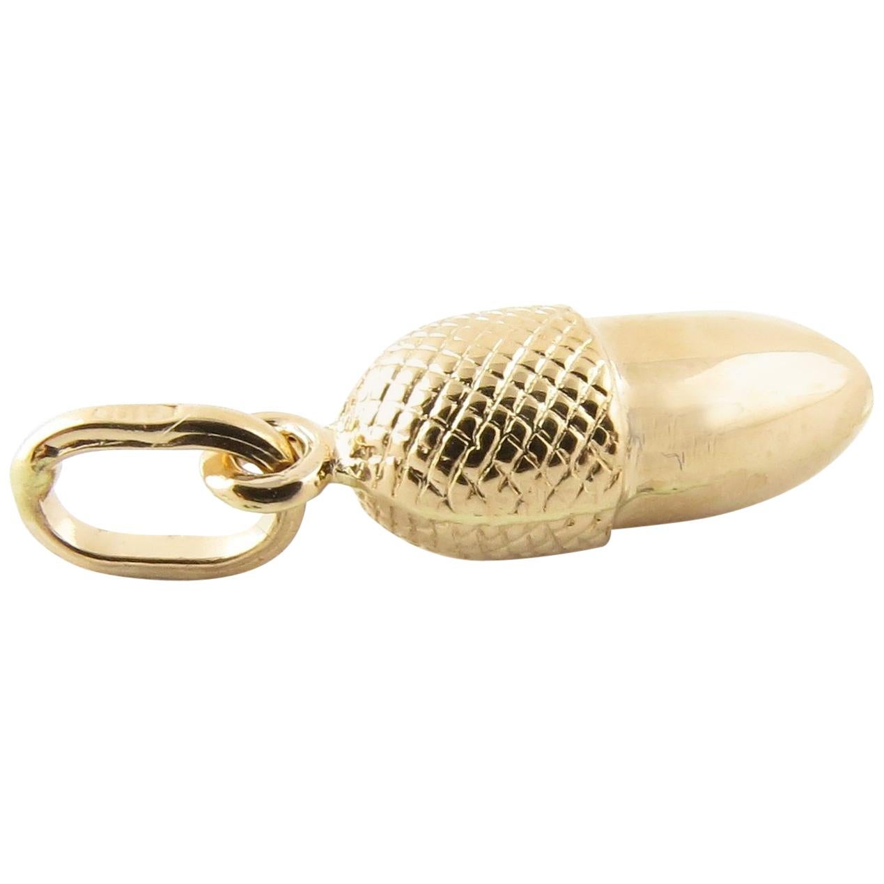 18 Karat Yellow Gold Acorn Charm