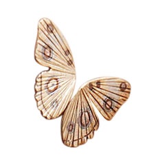 18 Karat Yellow Gold Buckeye Butterfly Wing Earrings