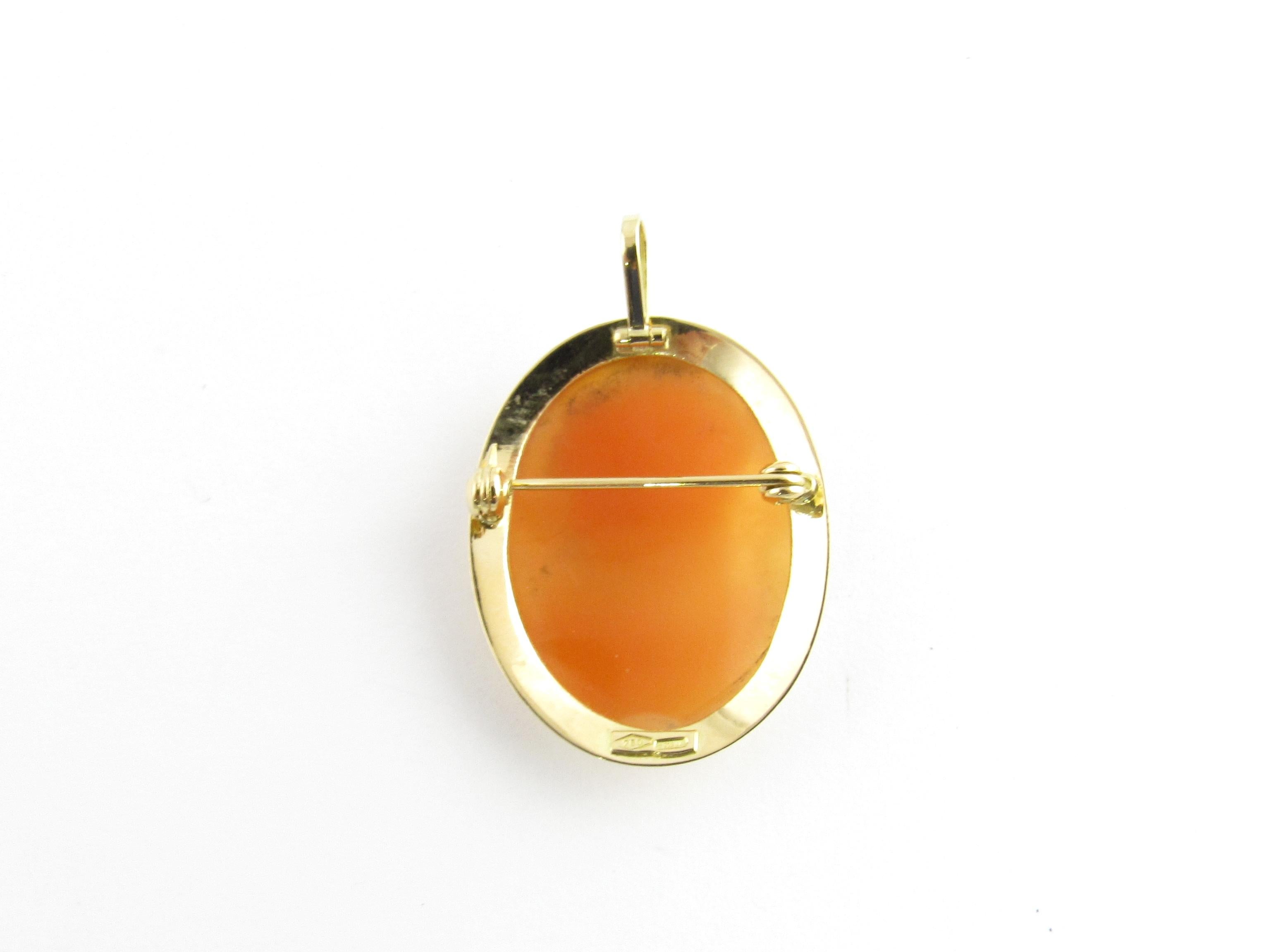 18 Karat Yellow Gold Cameo Pendant or Brooch 1