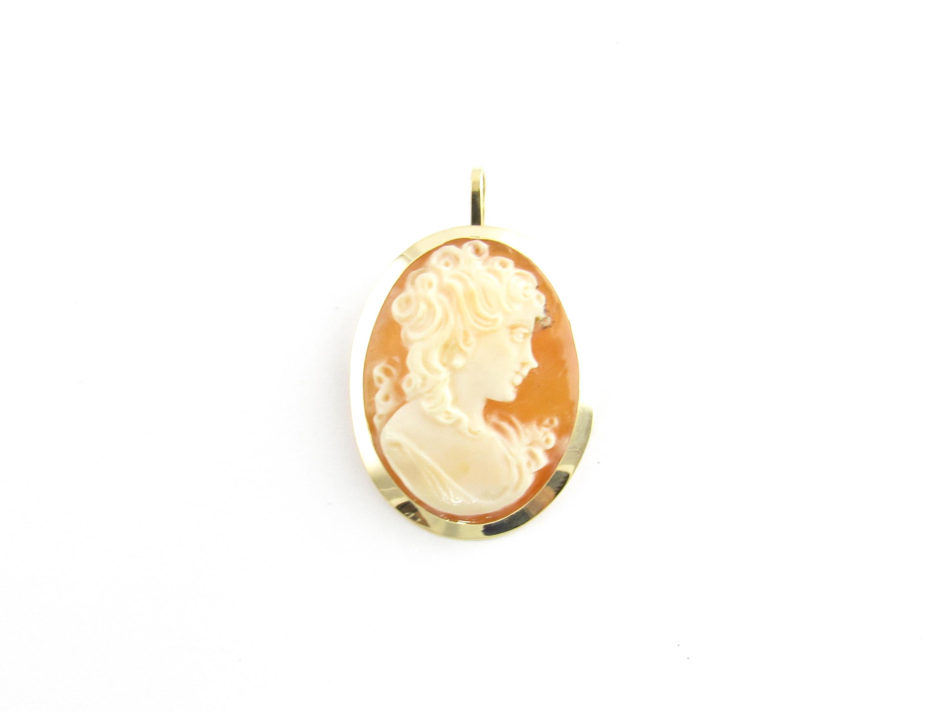 18 Karat Yellow Gold Cameo Pendant or Brooch 2