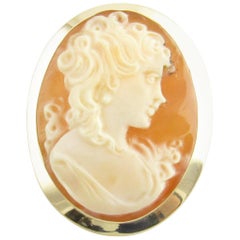 18 Karat Yellow Gold Cameo Pendant or Brooch