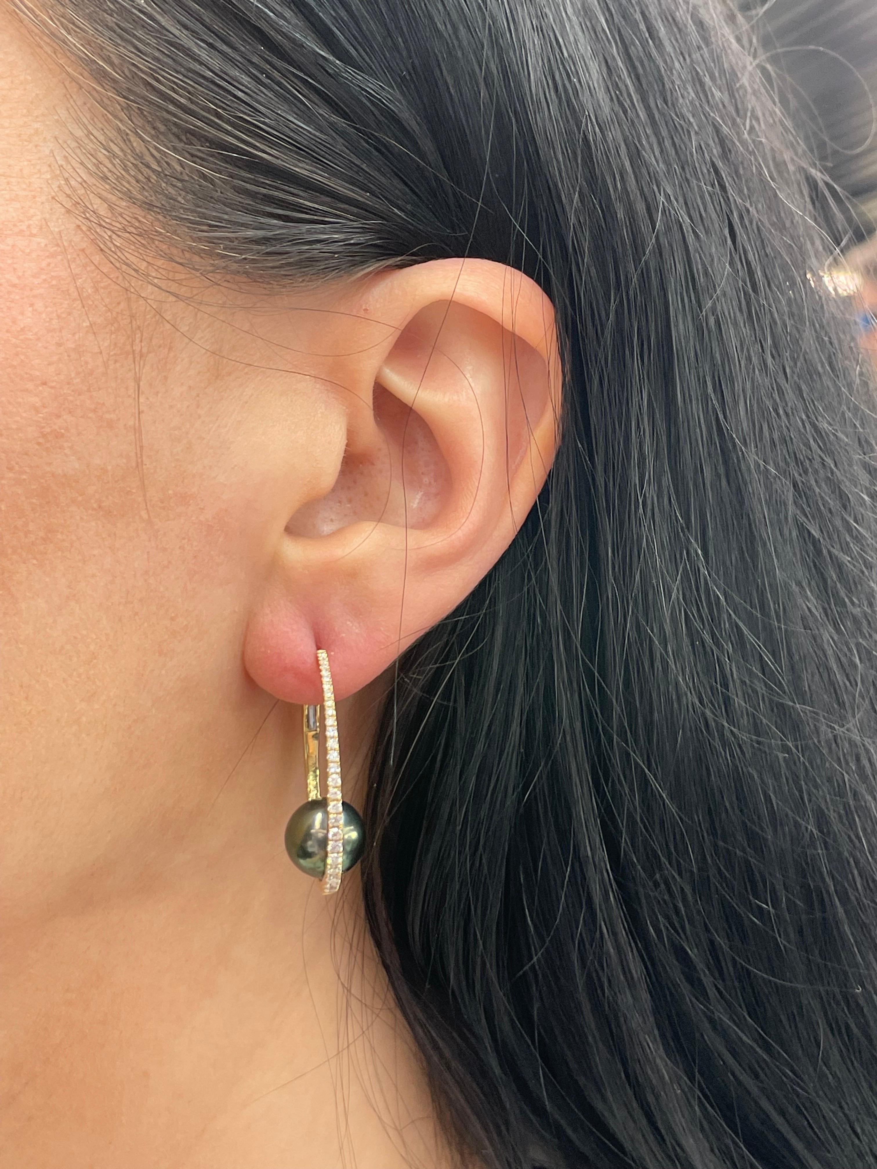 18 Karat Yellow Gold hoop earrings featuring 52 round brilliants weighing 0.52 Carats with two South Sea Pearls measuring 10-11 MM.
Color G-H
Clarity SI

Pearls earrings can be changed to Tahitian, Pink, Gold or South Sea
DM for more videos and