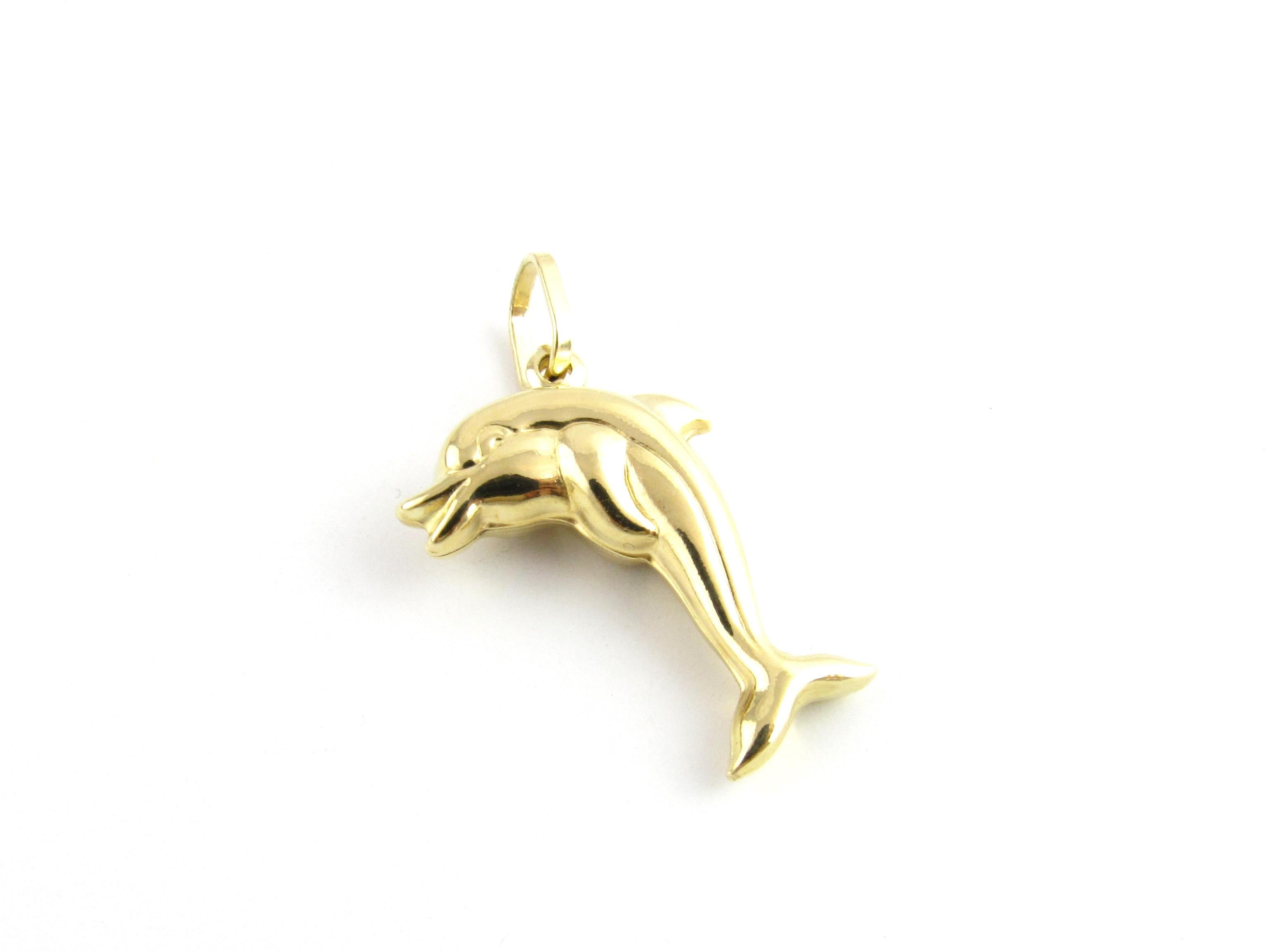 Vintage 18 Karat Yellow Gold Dolphin Charm

Know as the protectors of the seas, dolphins represent joy and harmony!

This lovely charm features a beautifully detailed dolphin crafted in classic 18K yellow gold.

Size: 28 mm x 18 mm (actual