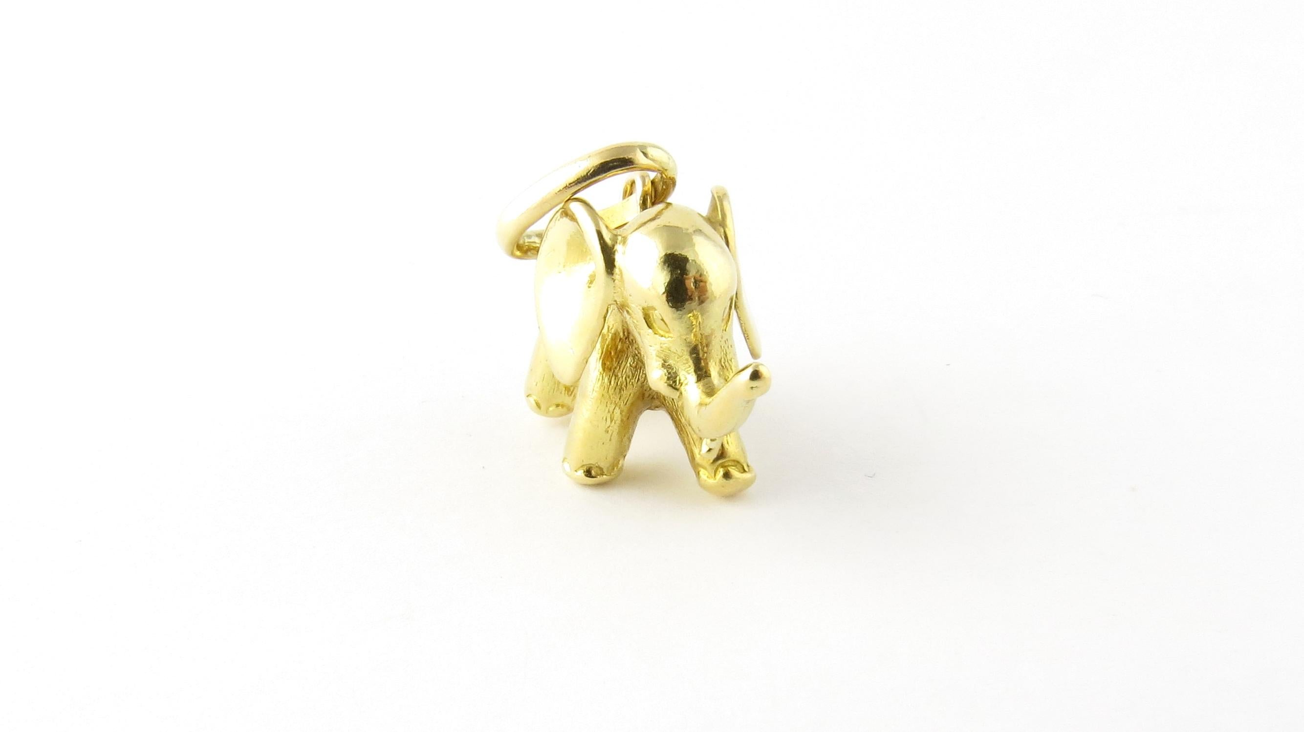 gold elephant charm bracelet