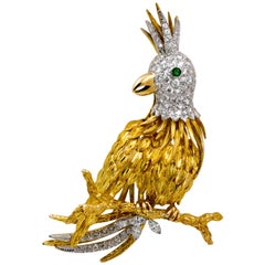 18 Karat Yellow Gold Gutschneider Parrot 5.50 Carat Brooch