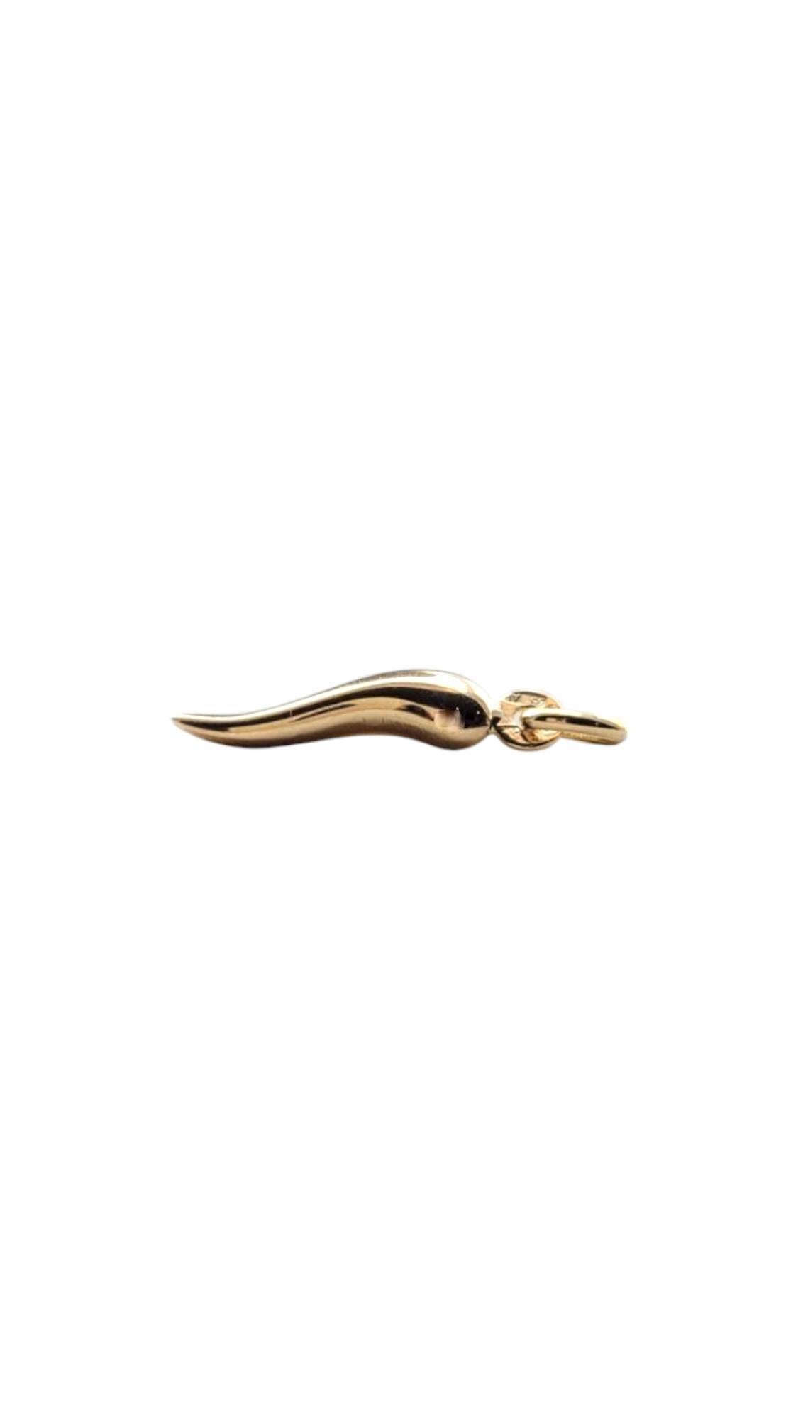 Women's 18 Karat Yellow Gold Italian Horn Charm #20906